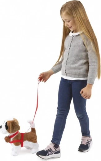 Marche en laisse et obéit au claquement de mains