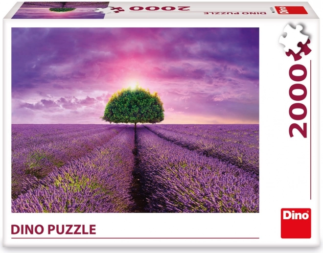 Puzzle Champ de Lavande 2000 pièces
