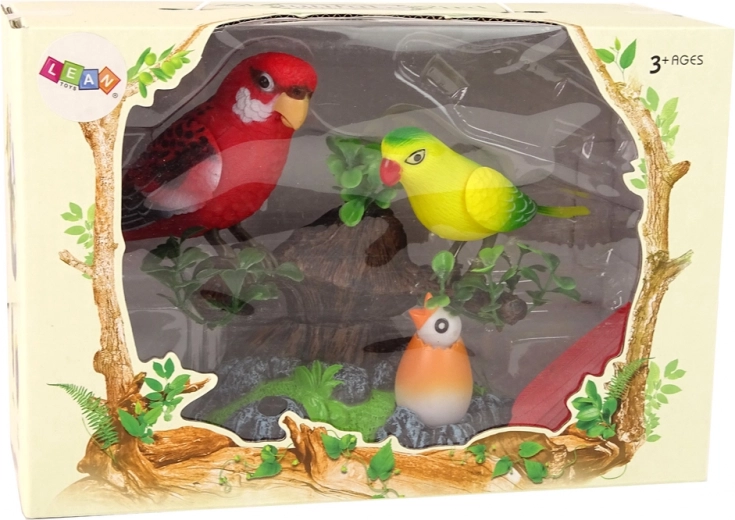 Perroquets colorés et mobiles