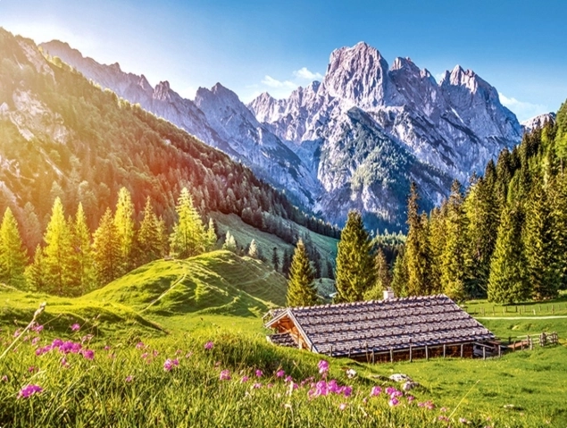 Puzzle 500 pièces – Été dans les Alpes CASTORLAND