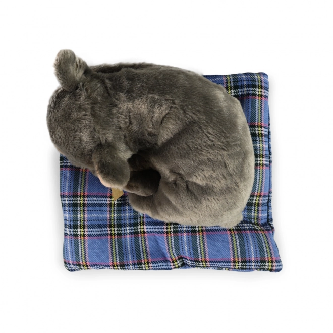 Rappa chien en peluche couché ÉCOLOGIQUE