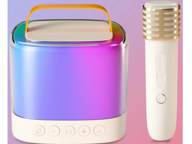 Microphone avec haut-parleur sans fil et Bluetooth