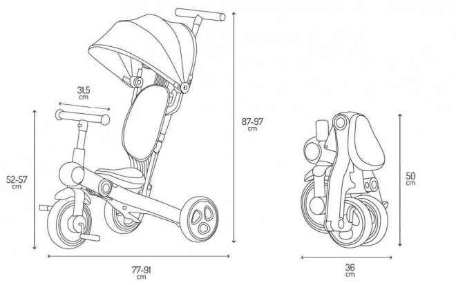 Tricycle polyvalent