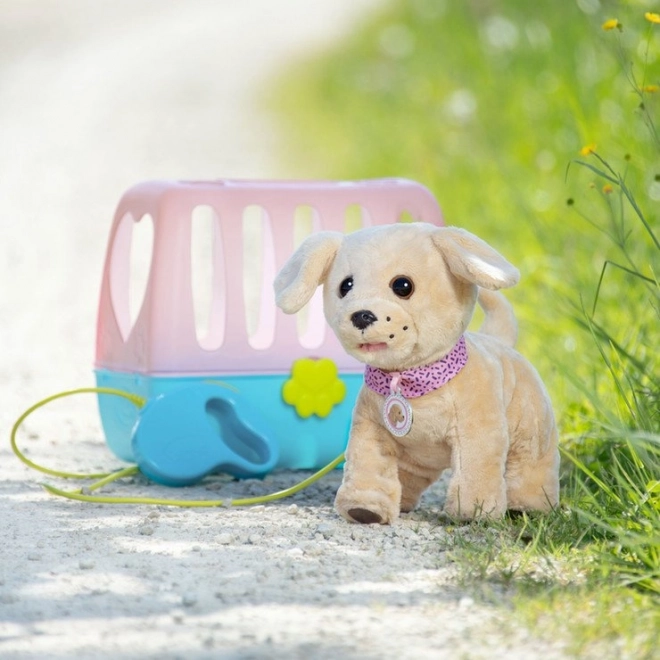 BABY born Mon chien joyeux avec caisse de transport