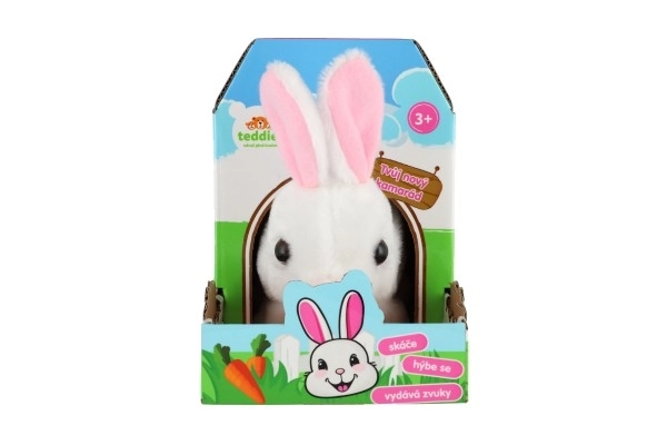Lapin Ben peluche/plastique 16x17cm à piles avec son et mouvement dans une boîte 13x19x18cm