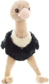 Autruche en peluche 33 cm