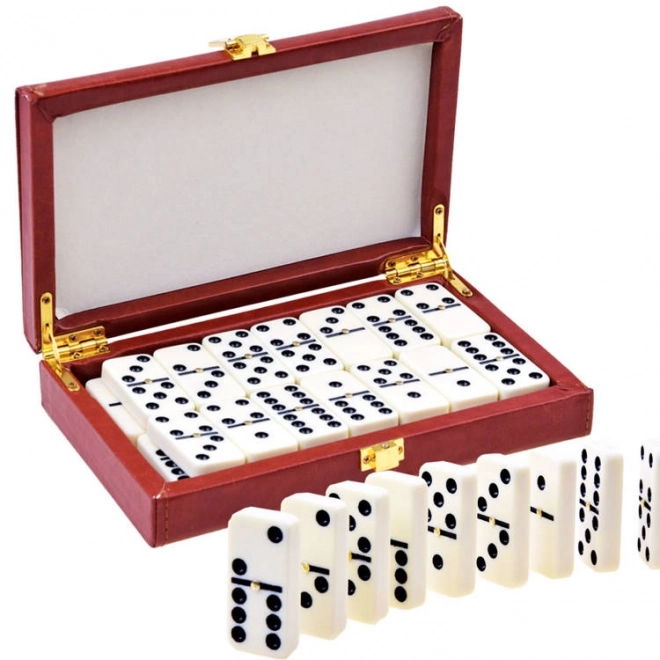 Jeu logique Domino dans un emballage élégant