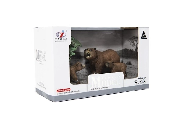 Zoo animaux - Ours