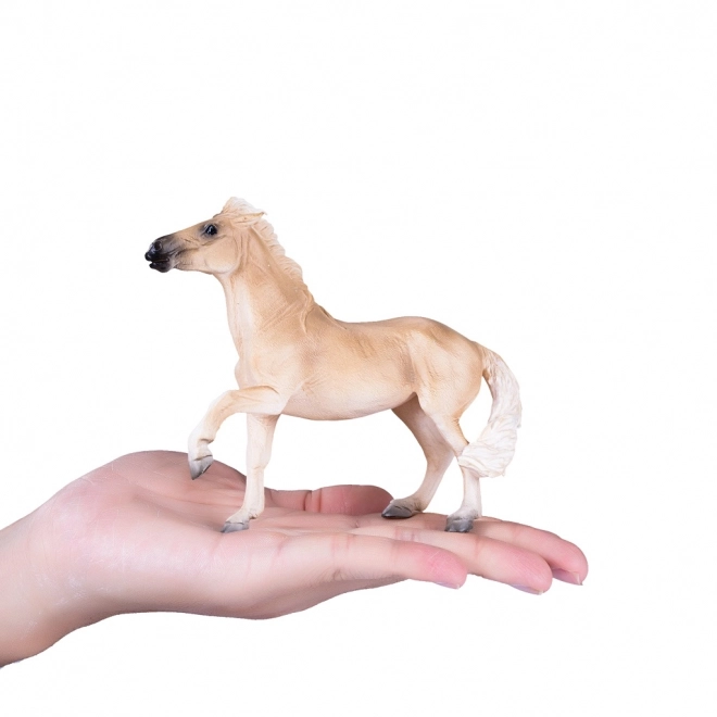 Mojo Cheval Brumby Mare