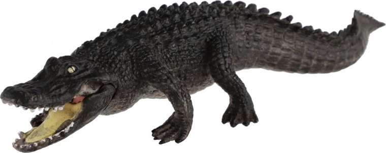 Détails réalistes pour une expérience fidèle