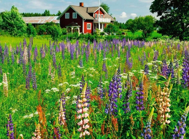 Puzzle 500 pièces Prairie en Suède