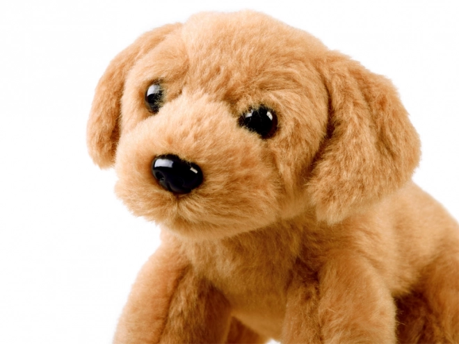 Chien en peluche assis 13 cm