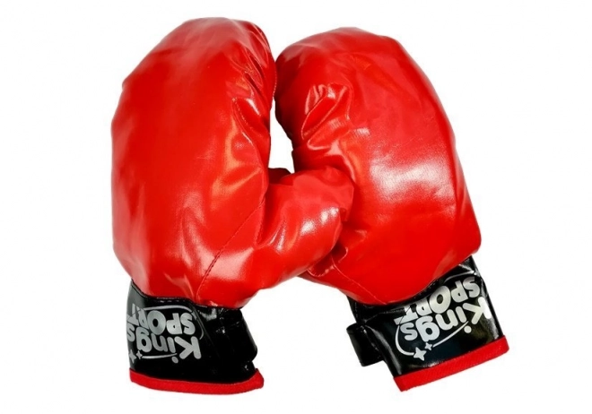 Ensemble de boxe 57 x 18