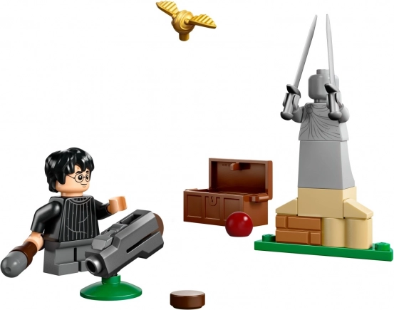 LEGO Harry Potter Leçon de Quidditch