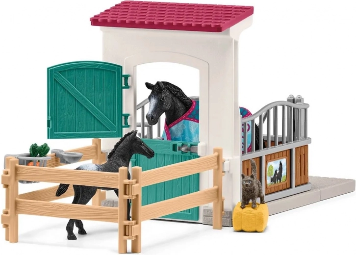 Box complet pour prendre soin du cheval