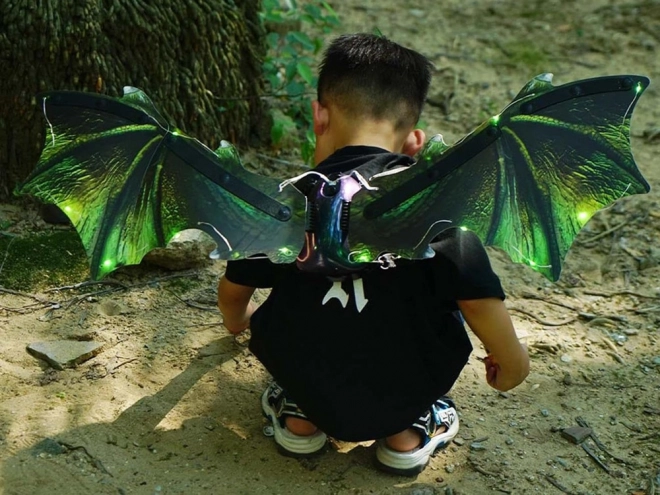 Ailes de dragon lumineuses furie nocturne