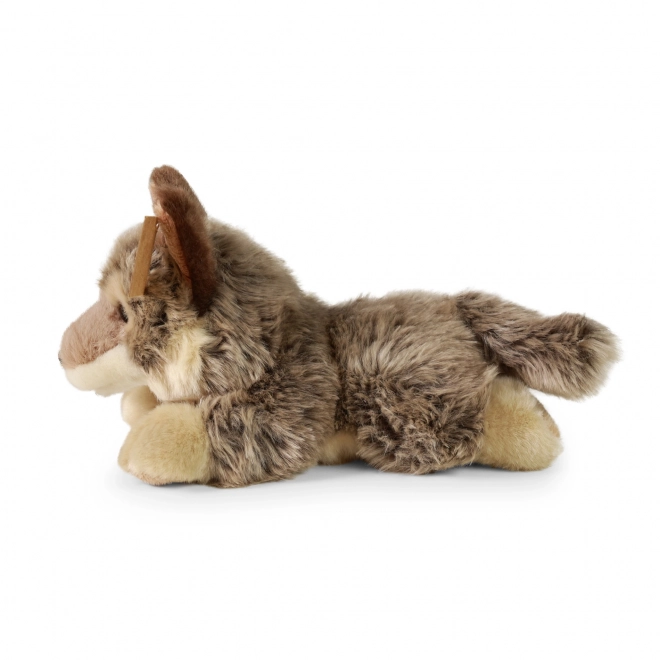 Loup en peluche allongé 20 cm ÉCOLOGIQUE