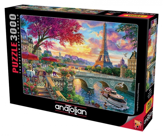 Puzzle Paris en Fleurs 3000 pièces