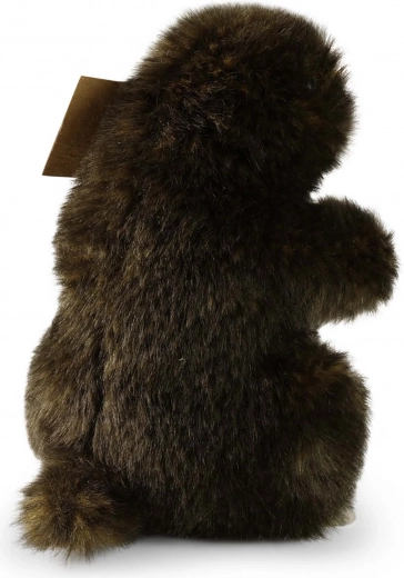 Sûr dès la naissance