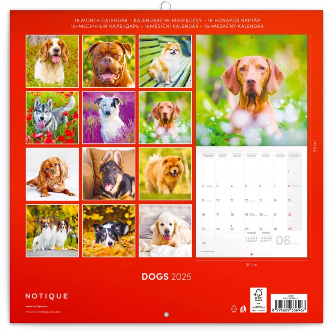 Calendrier avec notes Chiens 2025, 30 × 30 cm