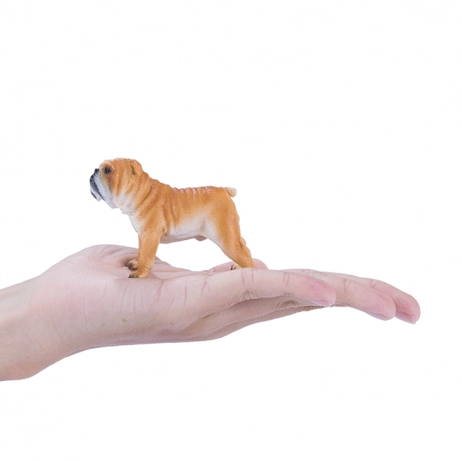 Mojo Bulldog Anglais