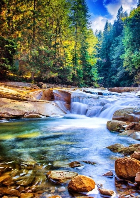 Puzzle Belle cascade en forêt 2000 pièces