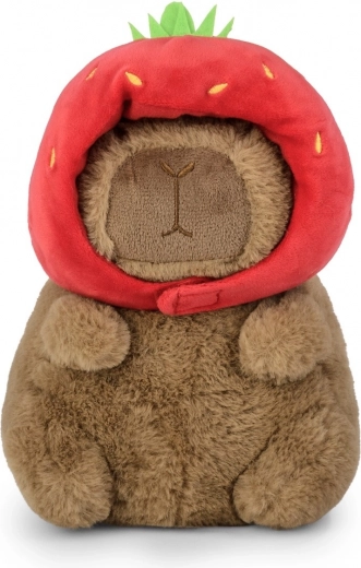 Taille idéale 20 cm