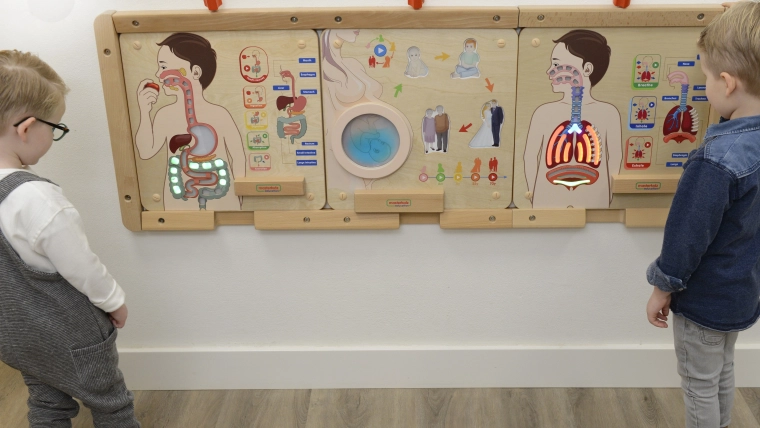 Conception murale sûre pour l’école et la maison