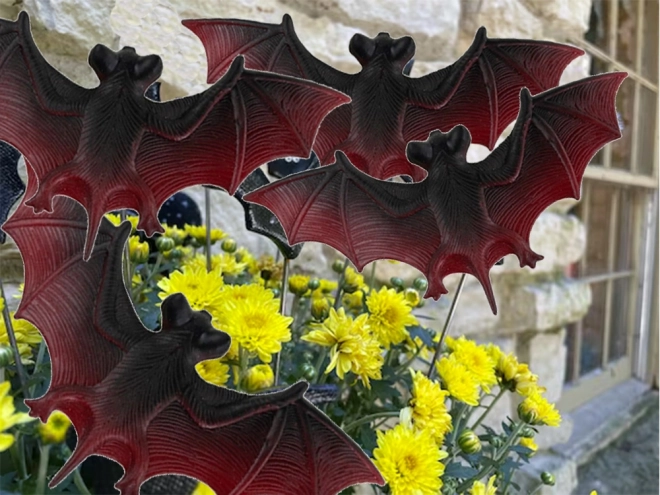 Ensemble de décorations chauves-souris pour Halloween
