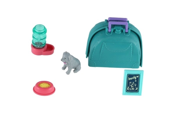 Petit chien avec boîte de transport et accessoires