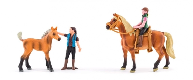 École d'équitation avec cheval et cavalier