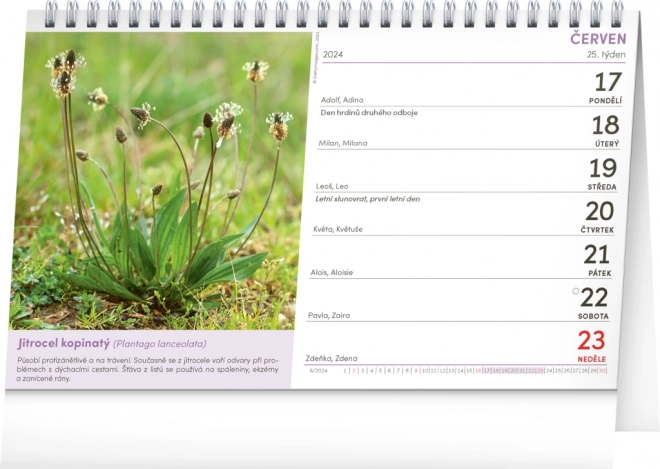 Calendrier de bureau Pharmacie naturelle 2024, 23,1 × 14,5 cm