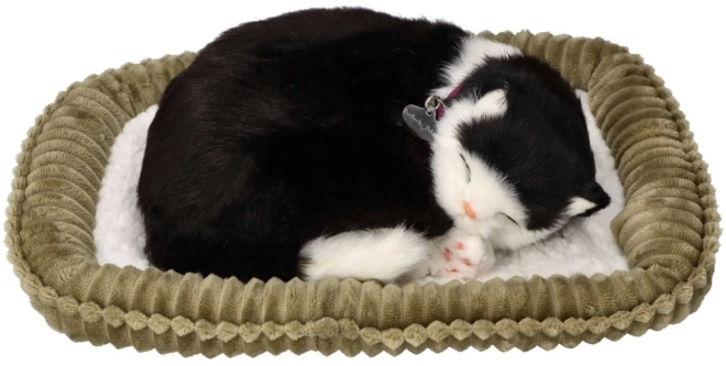 Jouet interactif Perfect Petzzz chat noir et blanc