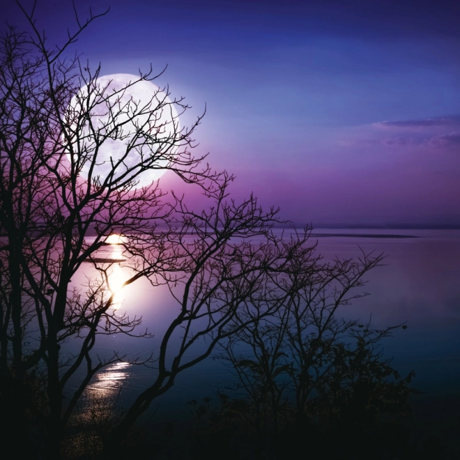 Calendrier de notes Lune 2026