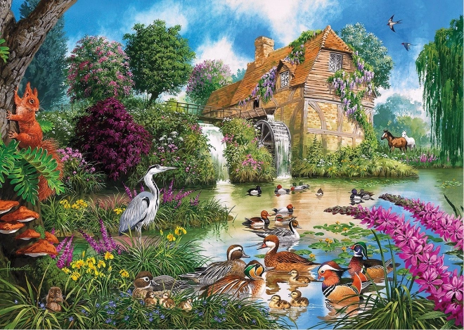 Beaux thèmes naturels