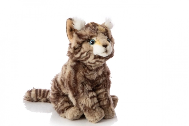 Jouets pour tous les âges
