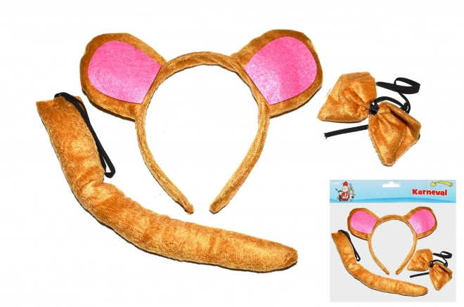 Ensemble de carnaval - singe