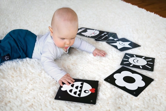KukiKuk 80002 Cartes à contraste Véeéliké pour bébés