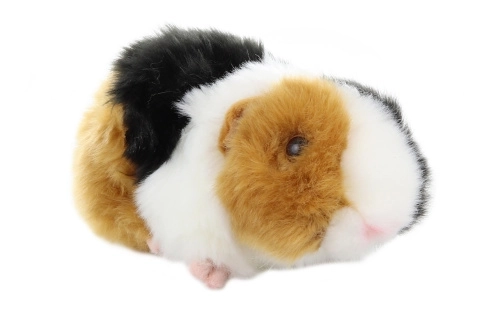 Cochon d'Inde Peluche 21 cm - ÉCOLOGIQUE