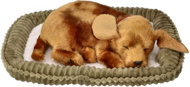Chiot en peluche respirant à adopter