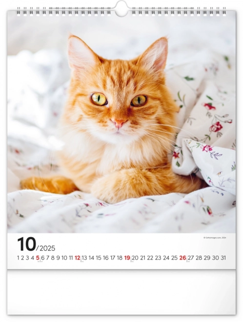 Calendrier mural Chats 2025, 30 × 34 cm