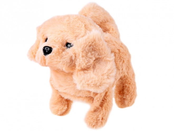 Chien en peluche interactif au salon SPA