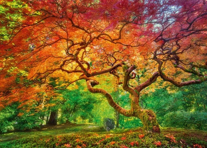Cherry Pazzi puzzle Couronne d’arbre 1000 pièces