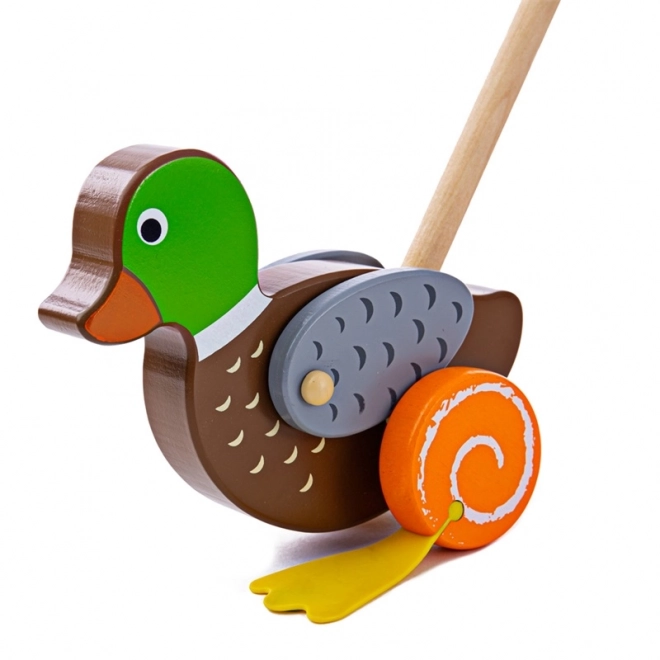 Bigjigs Baby Canard en bois à pousser