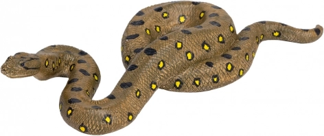 Rendu réaliste et coloration fidèle