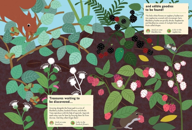 Chronicle Books Livre d'activités avec autocollants Ma nature Dans la forêt