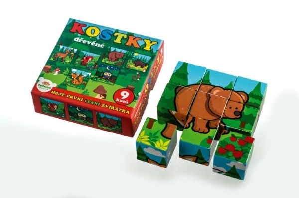 Cubes Kubus Mes Premiers Animaux Bois