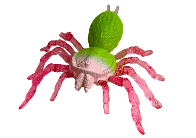 Figurine Araignée Stretch Jouet Élastique Vert