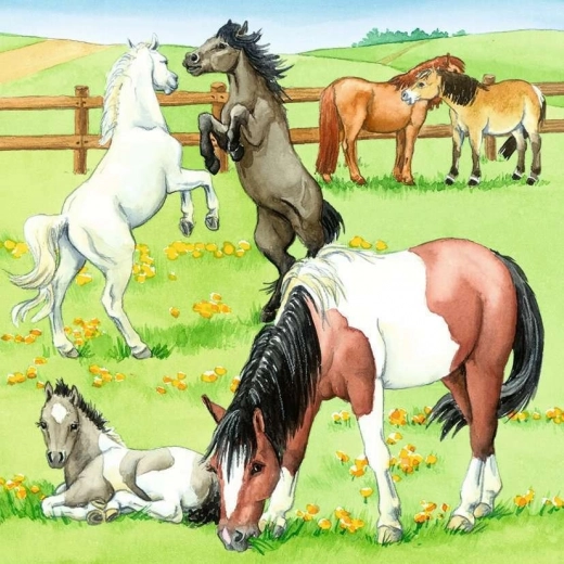 Beau pâturage rempli de chevaux