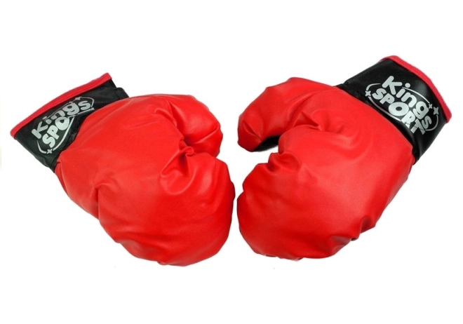 Gants de boxe